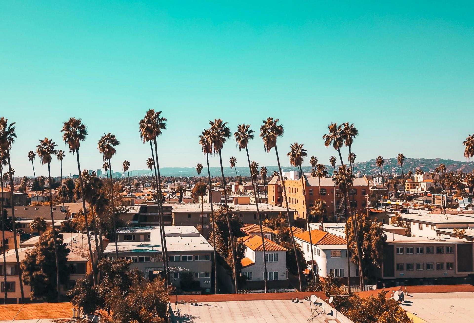 Los Angeles neighborhood palm trees apartments
