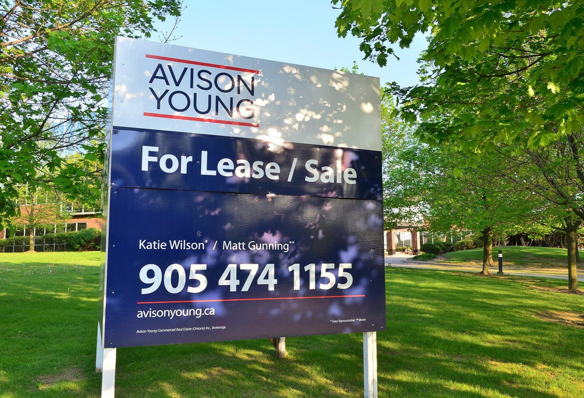 Avison Young sign