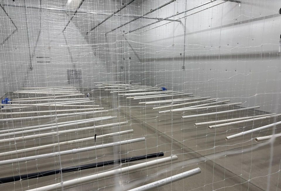 AltSol's facility also includes a room for drying the cannabis buds after they are picked.