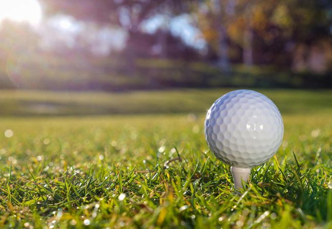golf ball on golf tee on green grass