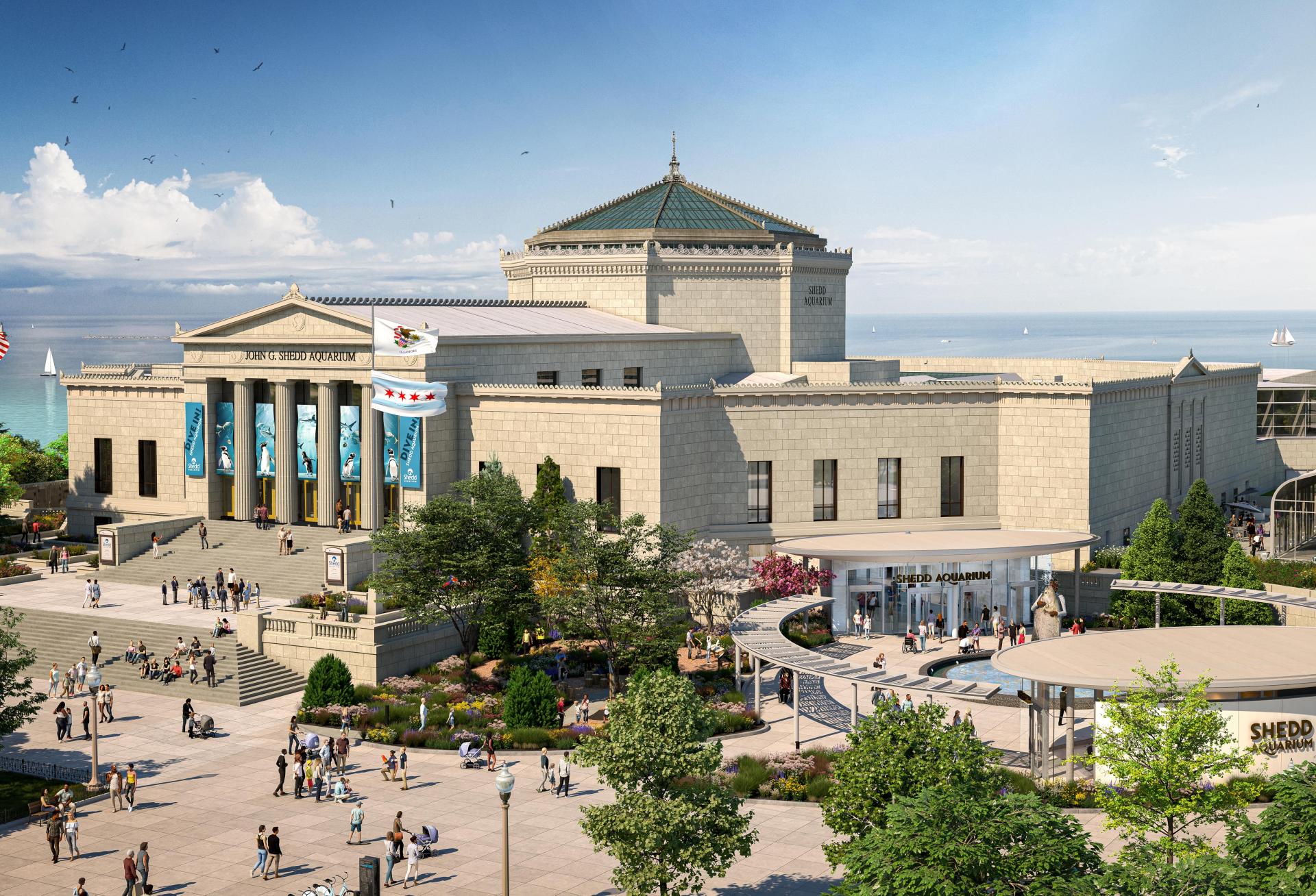 Shedd