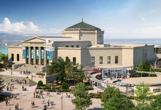 Shedd