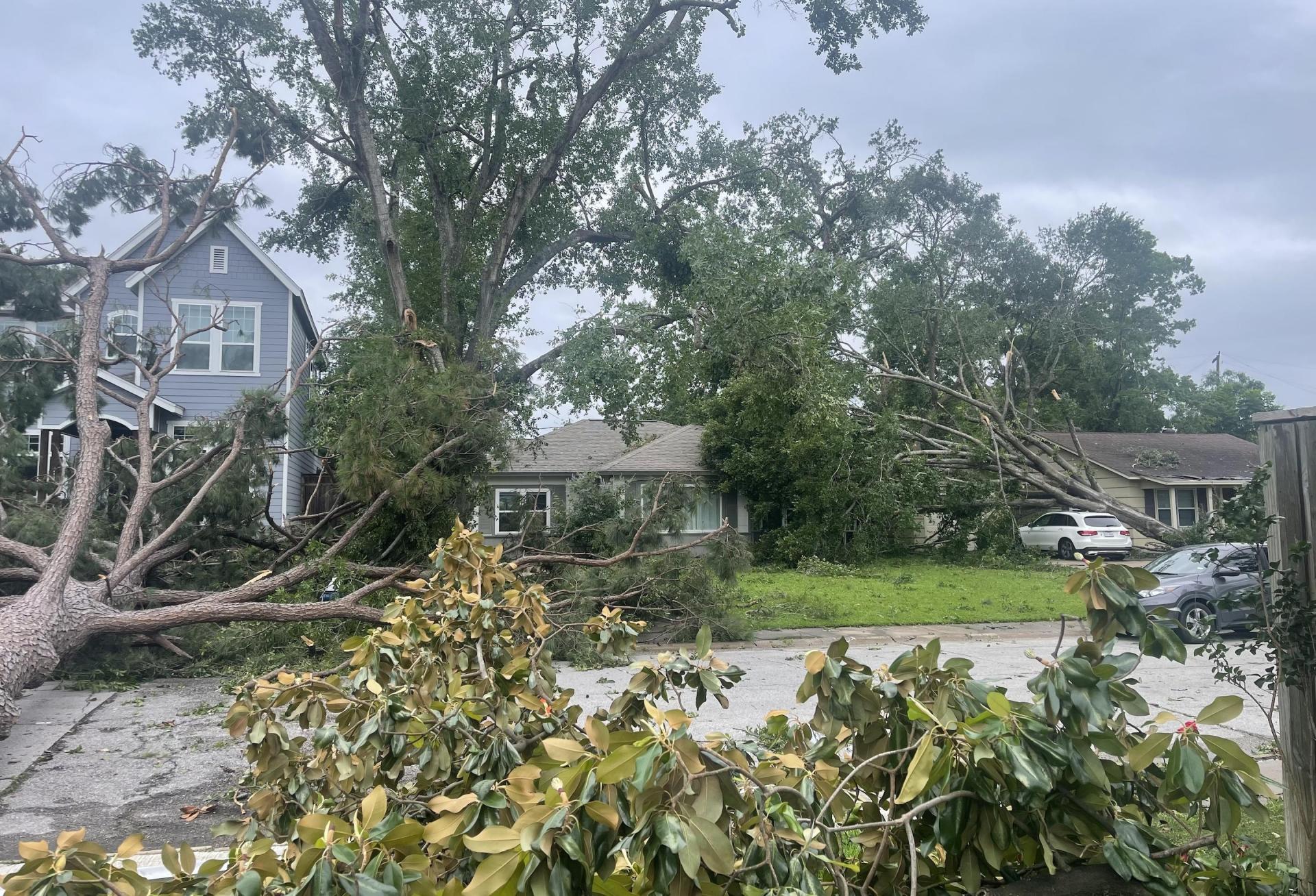 The Houston Heights had numerous trees fall down, impacting houses and blocking roads.