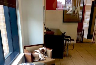 WC Smith Sells Luxury NoMa Building Famous For Resident Bulldog For $104M