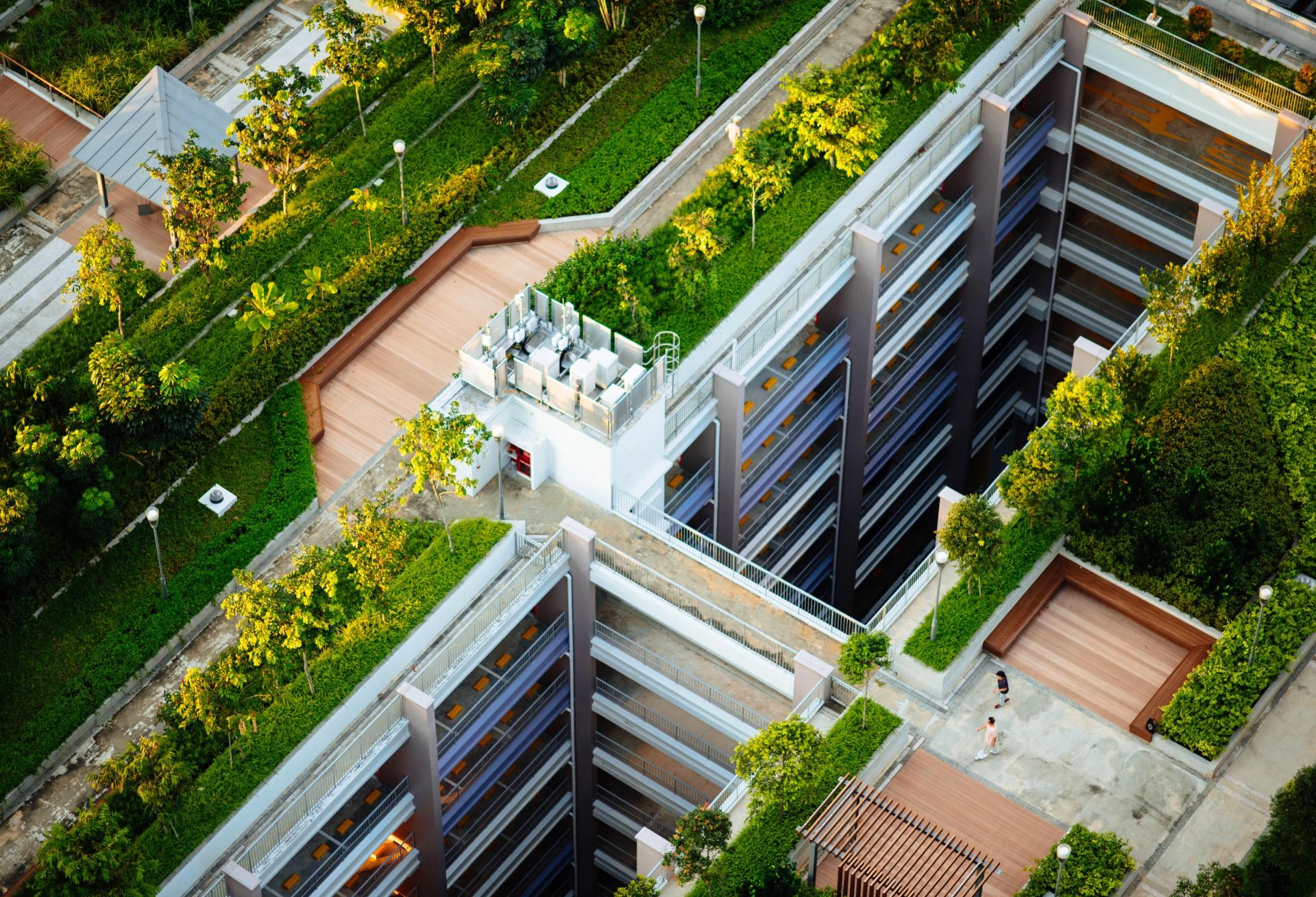 What Is Pushing CRE Toward Creating More Sustainable Built Environments? One Industry Expert Weighs In