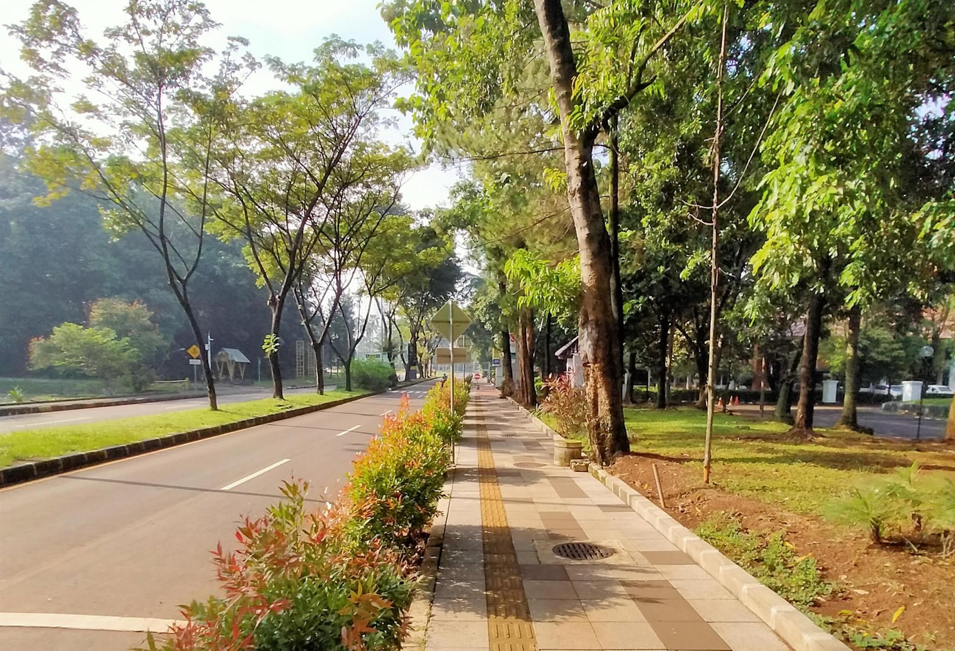 No More Sidewalks To Nowhere: Houston Developers Can Now Pay A Fee To Get Out Of Them