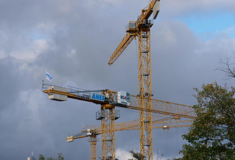 cranes