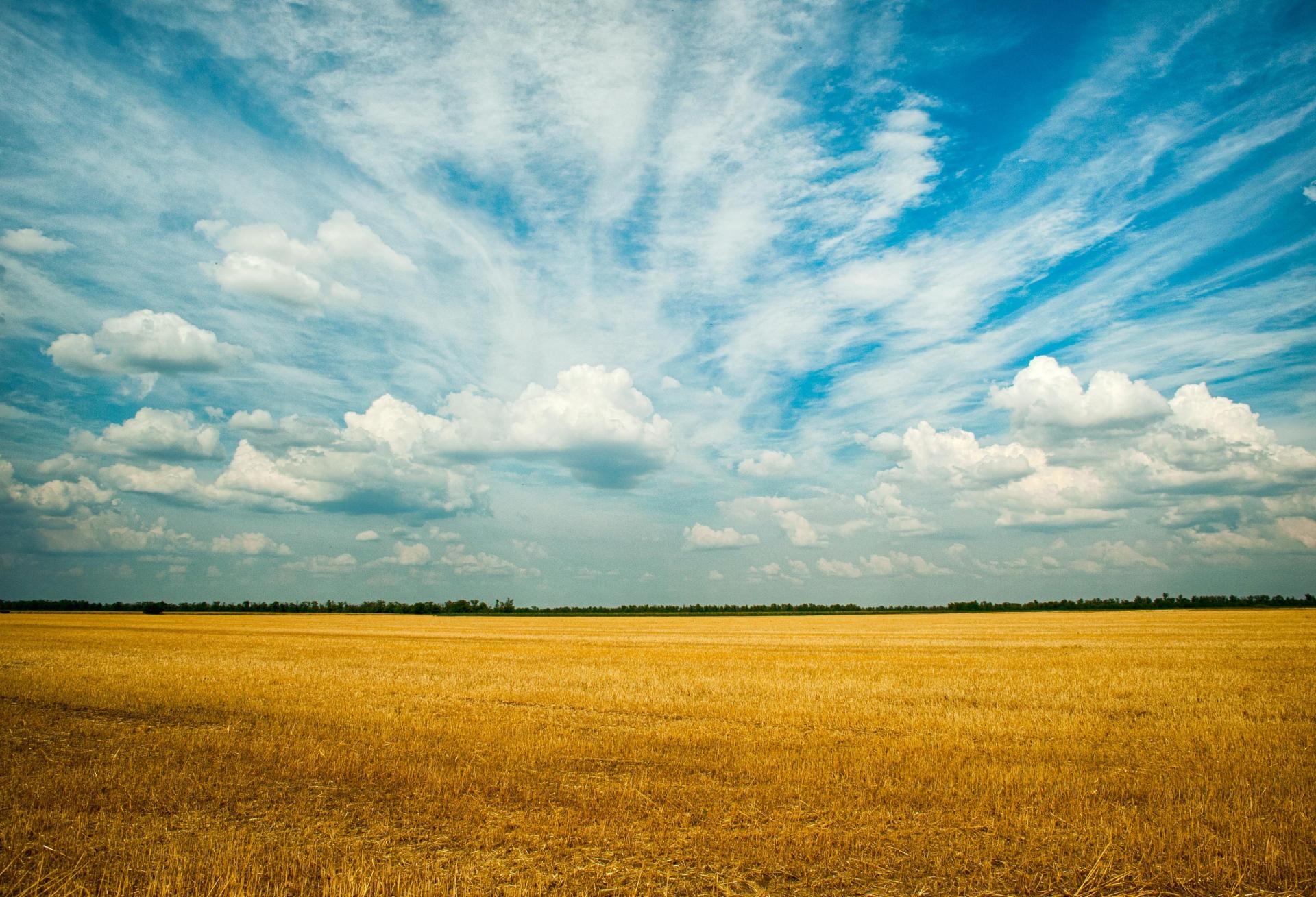 Silicon Valley Investors Plan To Build A Retro City On Northern California Farmland
