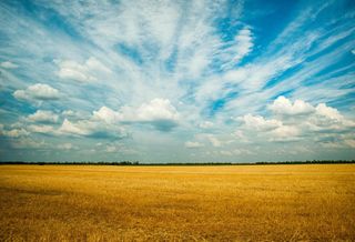 Silicon Valley Investors Plan To Build A Retro City On Northern California Farmland