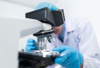Roche, Regeneron Announce Combined $56B Expansions As Tariffs Loom