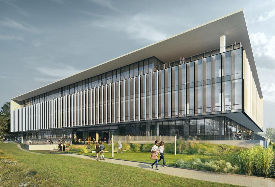Apex rendering