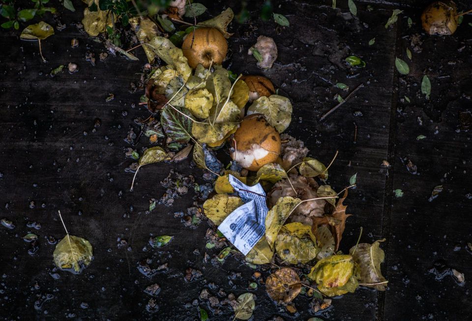 composting