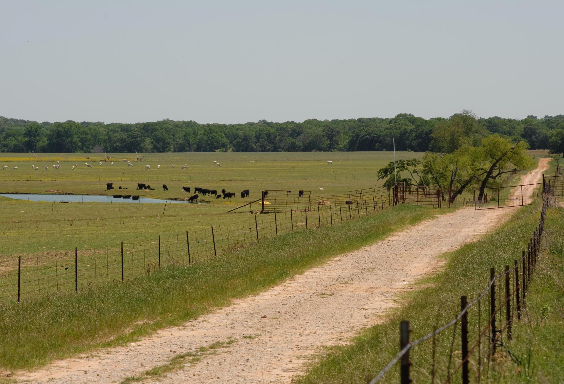 Fervent Rush For Rural Texas Land Has Finally Slowed, But Experts Don't See Cause For Concern