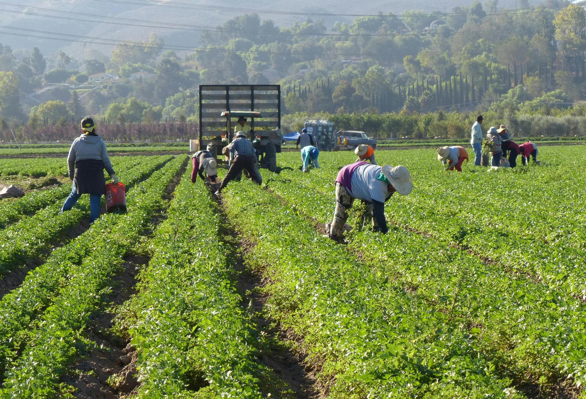 Nuveen Aims To Raise $3B For Private Farmland REIT