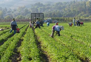 Nuveen Aims To Raise $3B For Private Farmland REIT