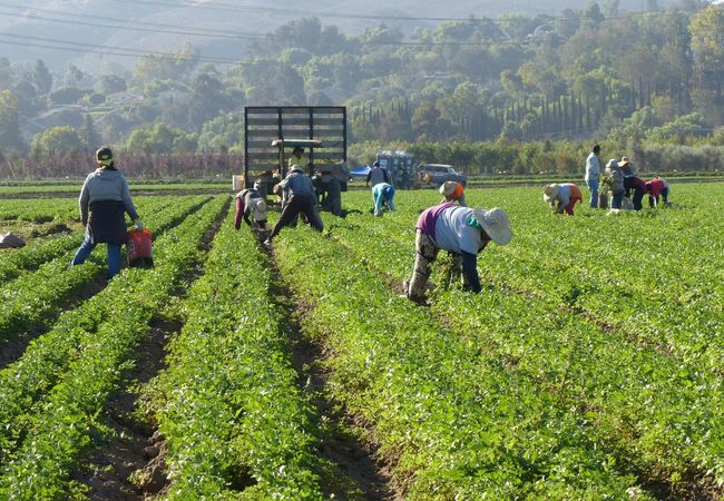Nuveen Aims To Raise $3B For Private Farmland REIT