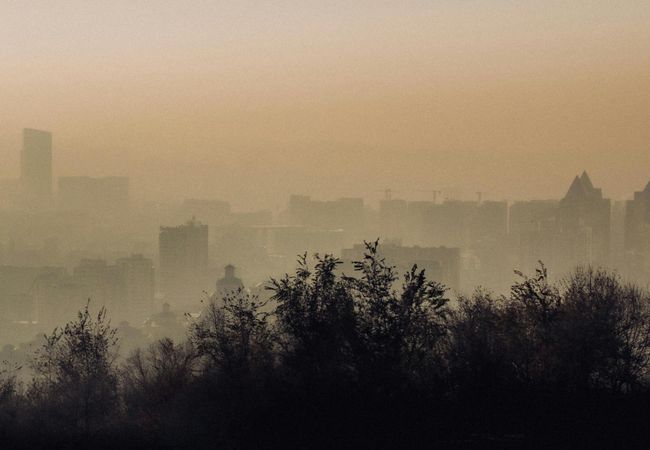 The World's Biggest Real Estate Investment Managers Get F's On Climate Action