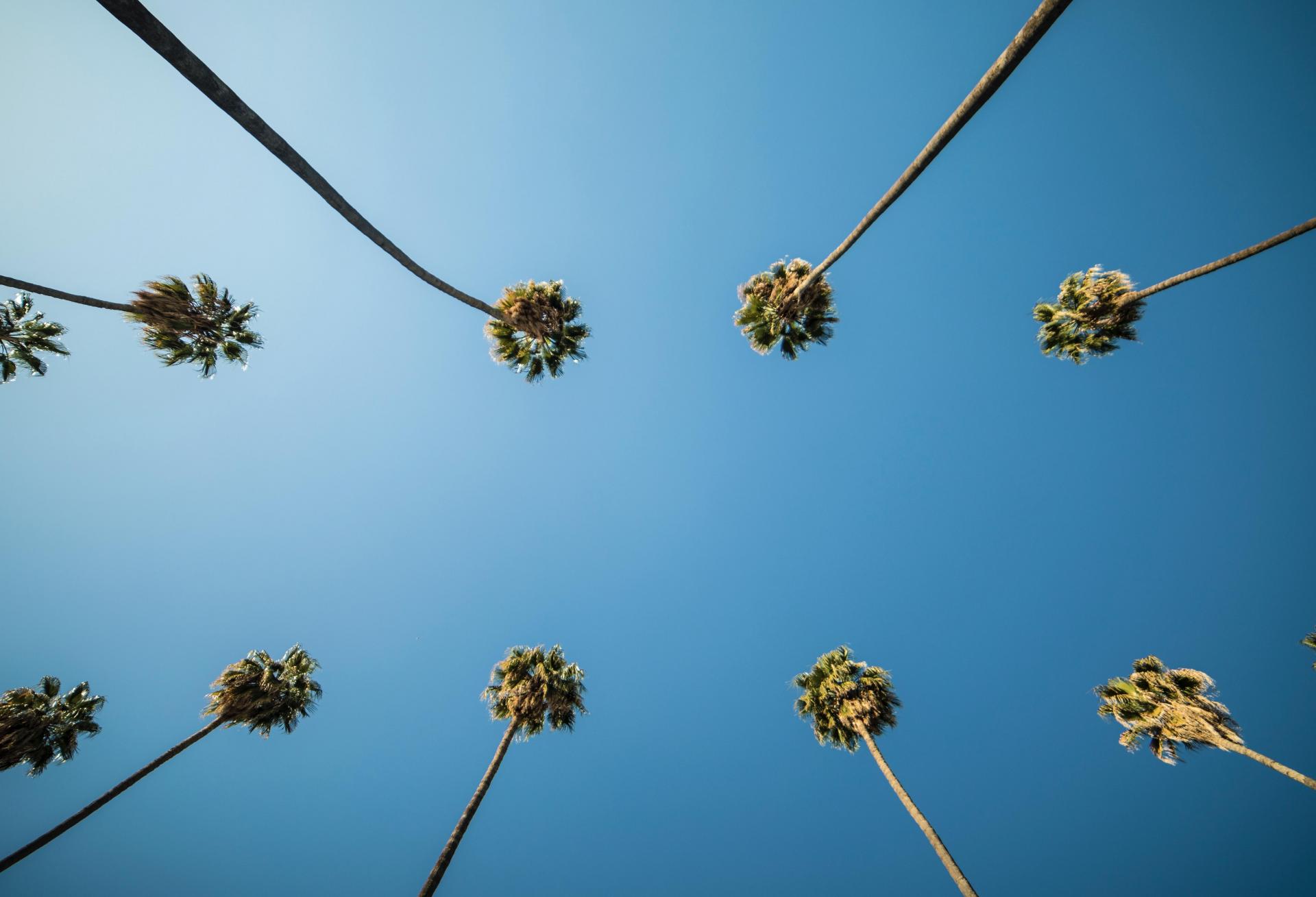After Almost 3 Years, LA Council Votes To End Its Pandemic Eviction Protections