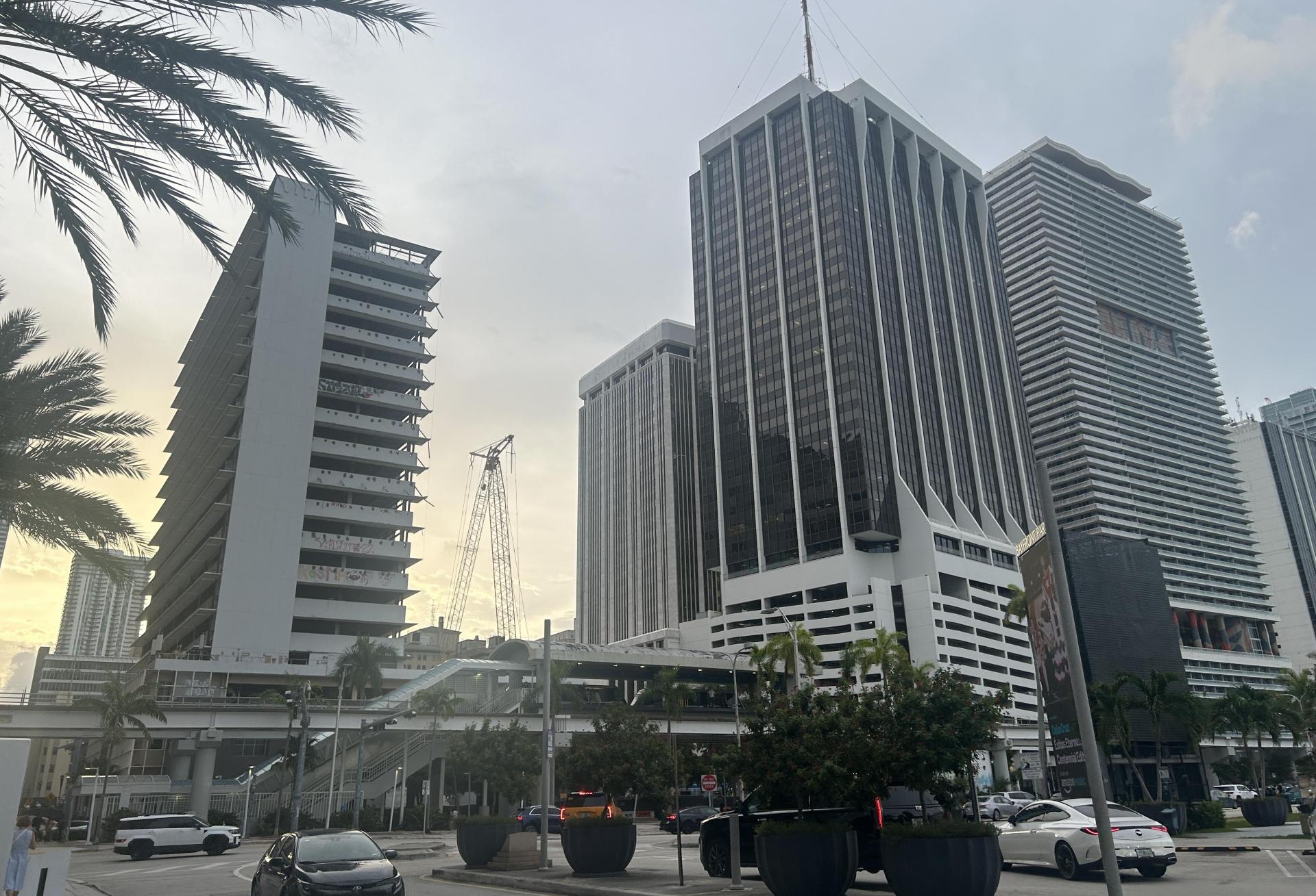 Miami buildings in the morning