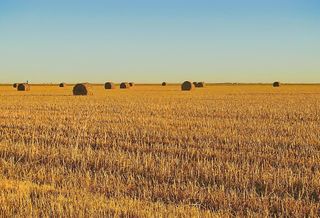 Land Rush Of 2021 Shows Rural Texas Areas Gaining Value