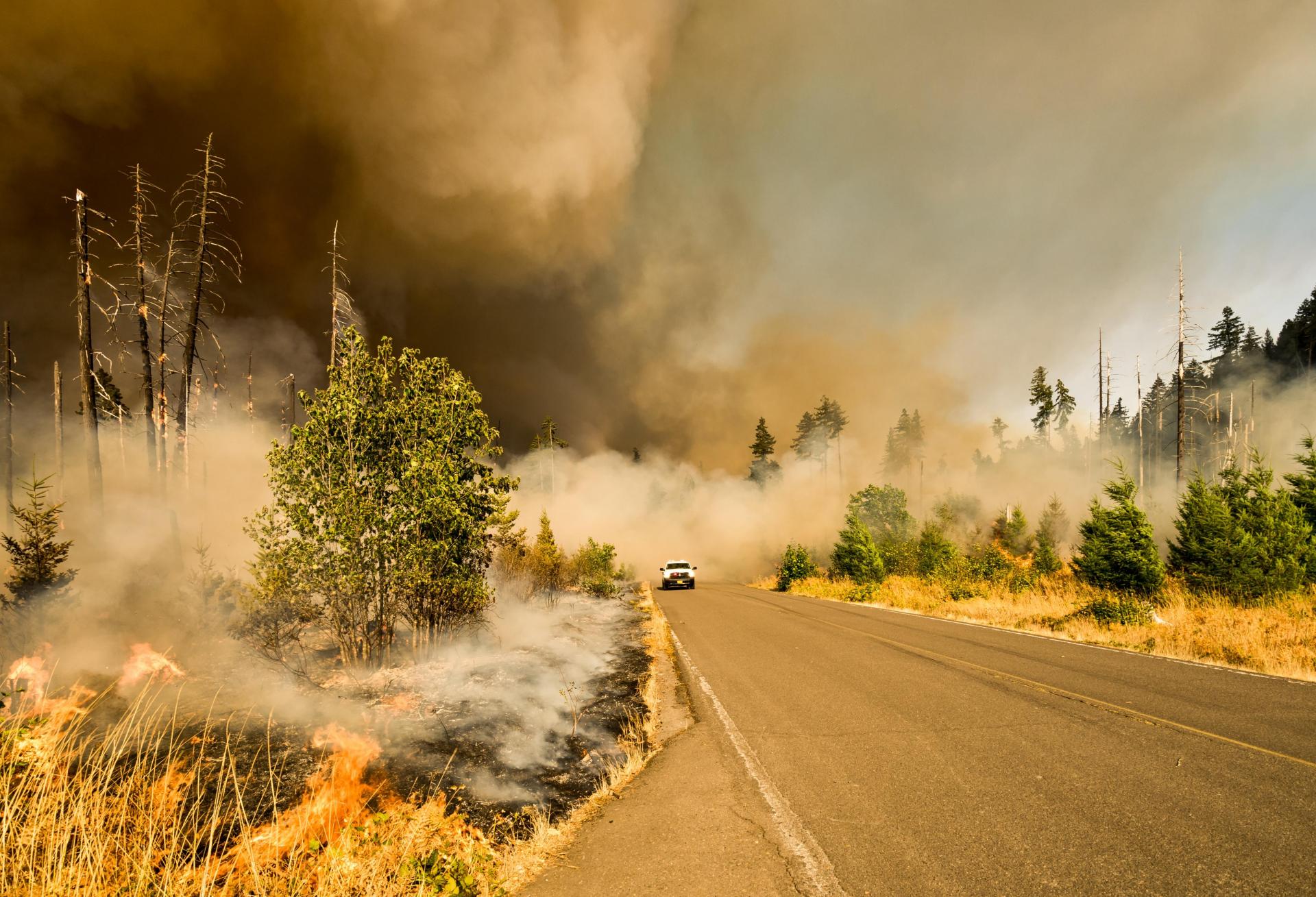 A car drives away from the Jones Fire, which burned thousands of acres in Massachusetts in 2017.