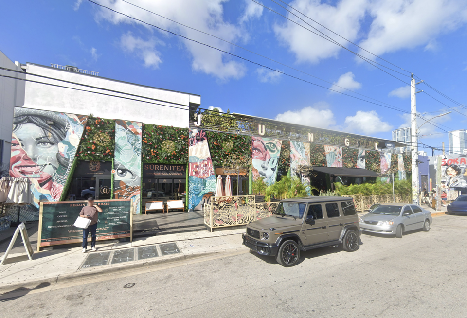 WYNWOOD JUNGLE