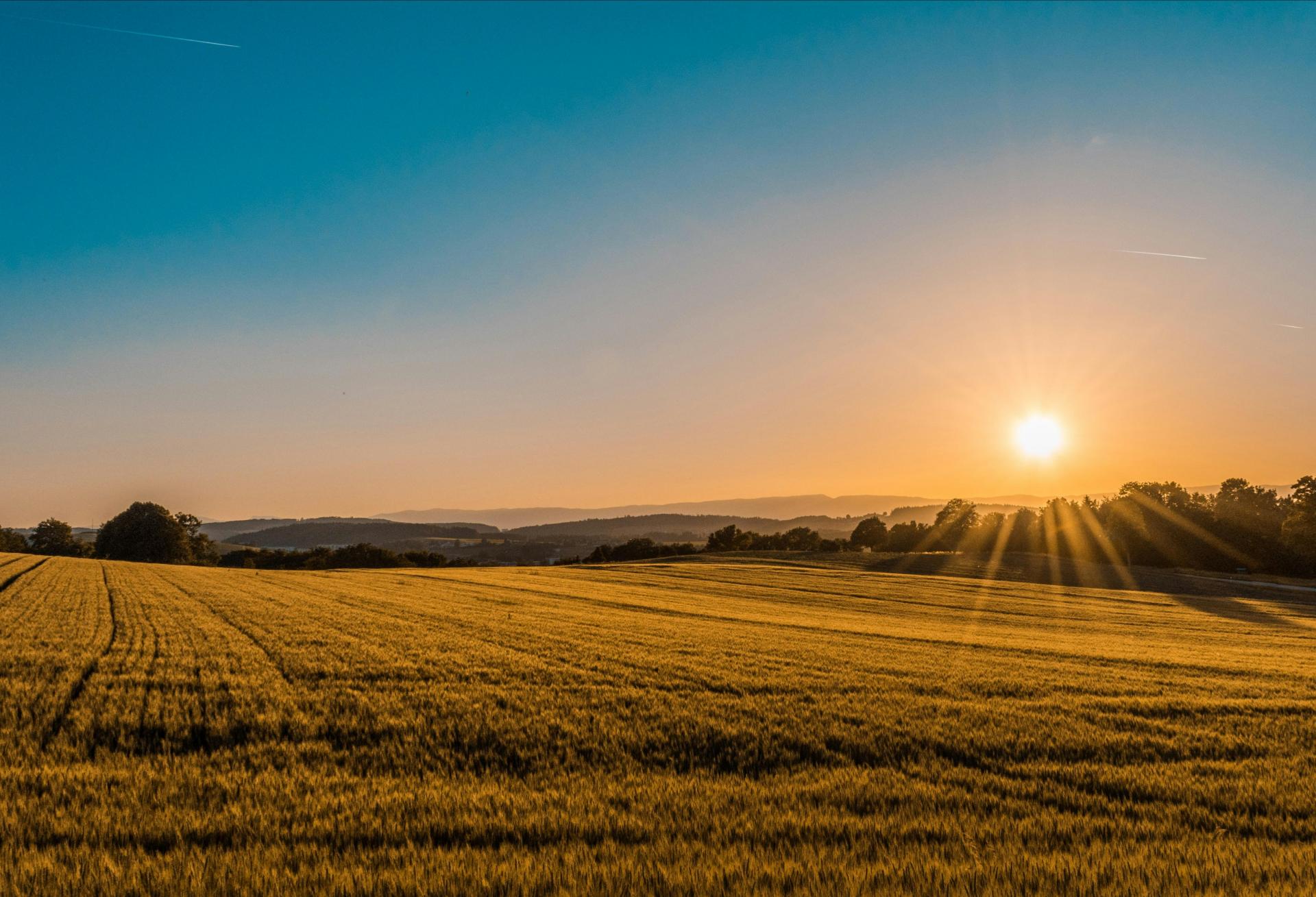 Field Empty Field Open Field Blank Land Open Land 
