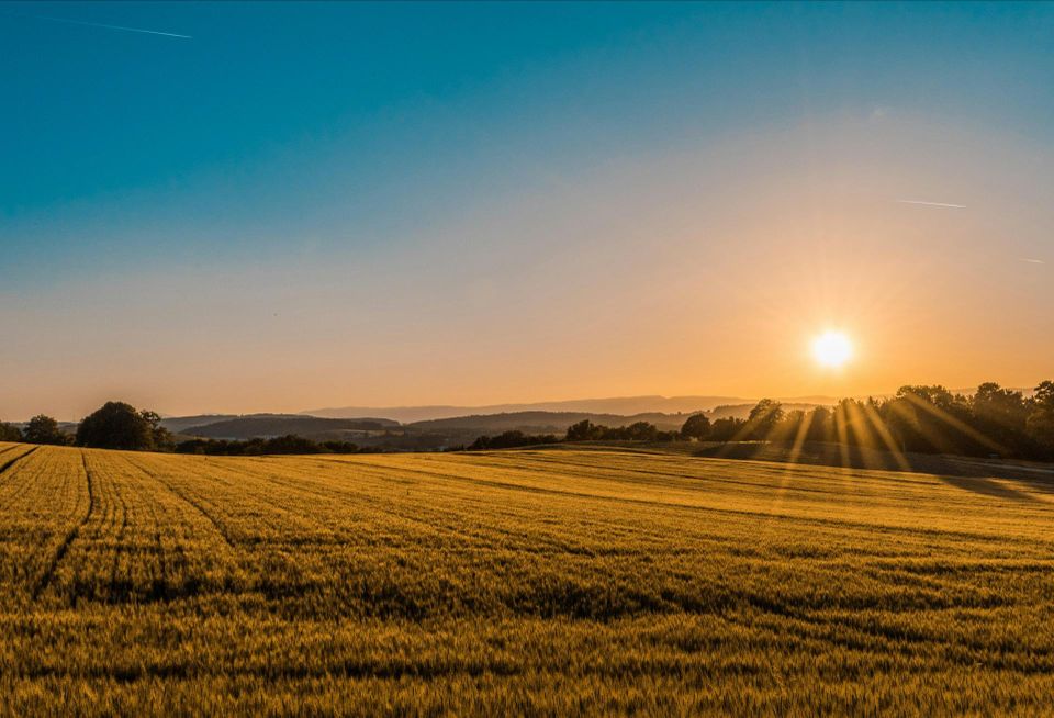 Field Empty Field Open Field Blank Land Open Land