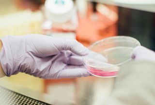 Biomanufacturing Company Files To Start Building Its $100M Project In The Woodlands