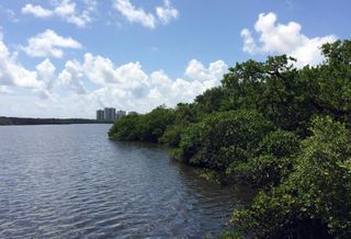 Florida's Top Wildlife Official Had Private Plan To Develop Condos On Environmentally Sensitive Land 