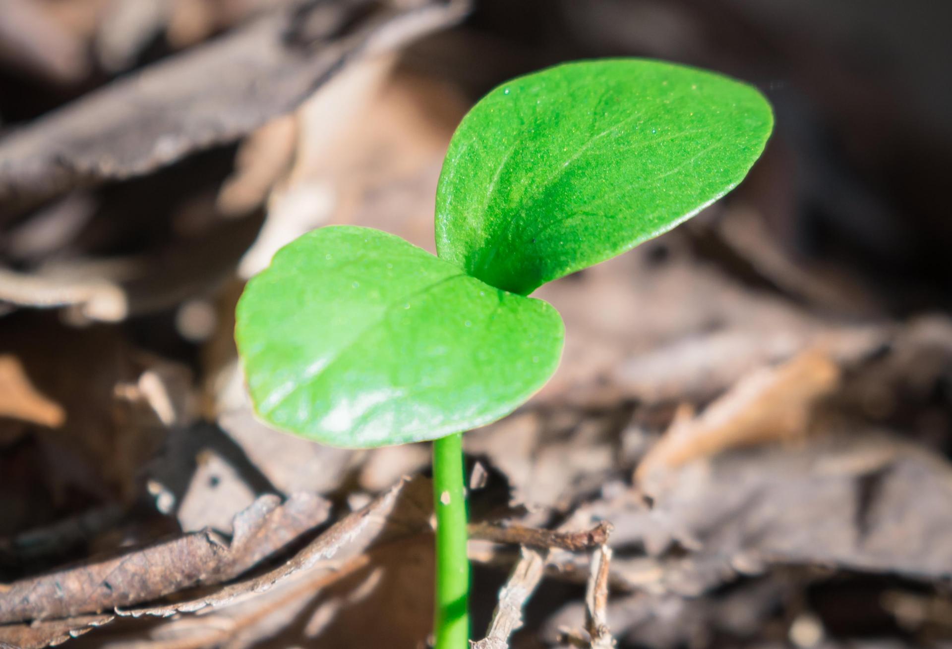 £21B Real Estate Lender Won’t Offer New Loans To Firms Without A Decarbonisation Plan