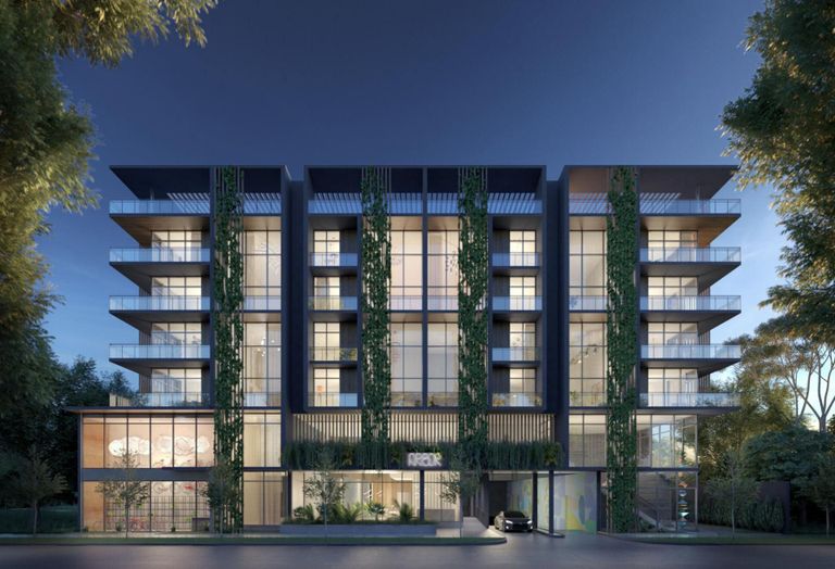 Arbor Residences Coconut Grove 3034 Oak Ave Miami Issac Kodsi
