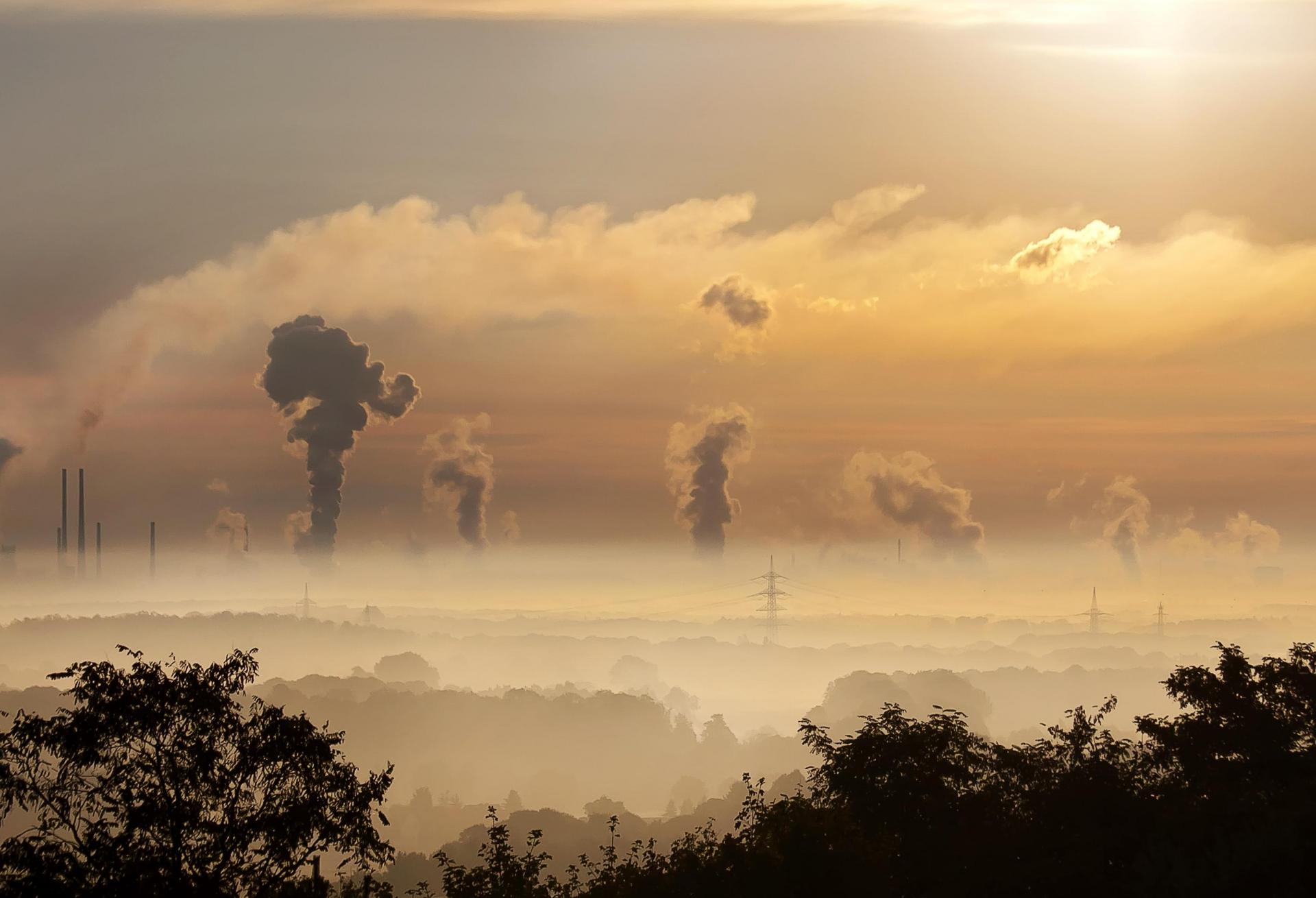London Property Giant Enters The Murky World Of Carbon Offsetting