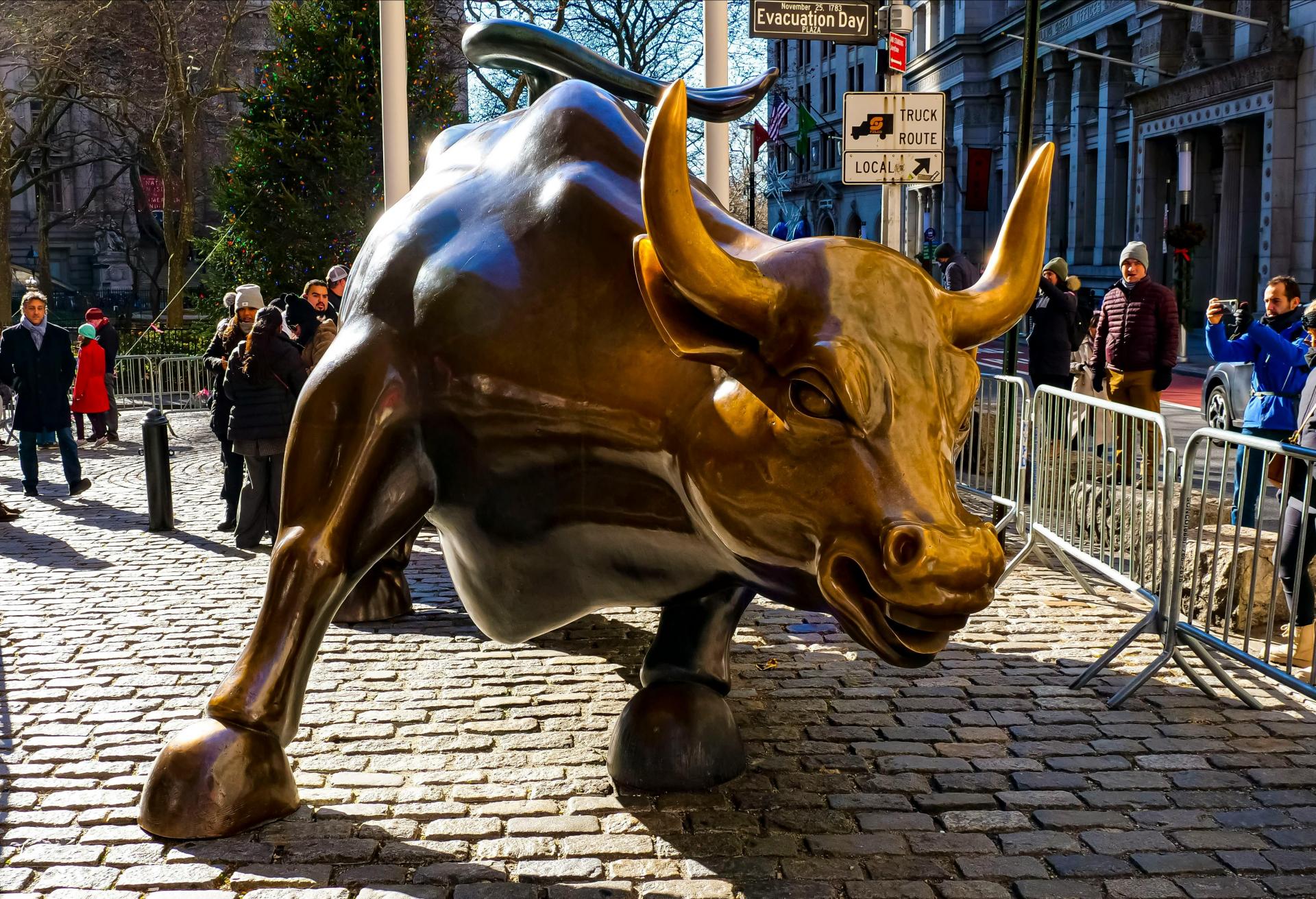 Wall Street Bull