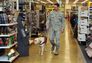 Could Dogs Be Retail's Best Friend?