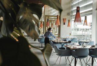Additional Coronavirus Spending For Businesses Unlikely, With Possible Exception For Restaurants 