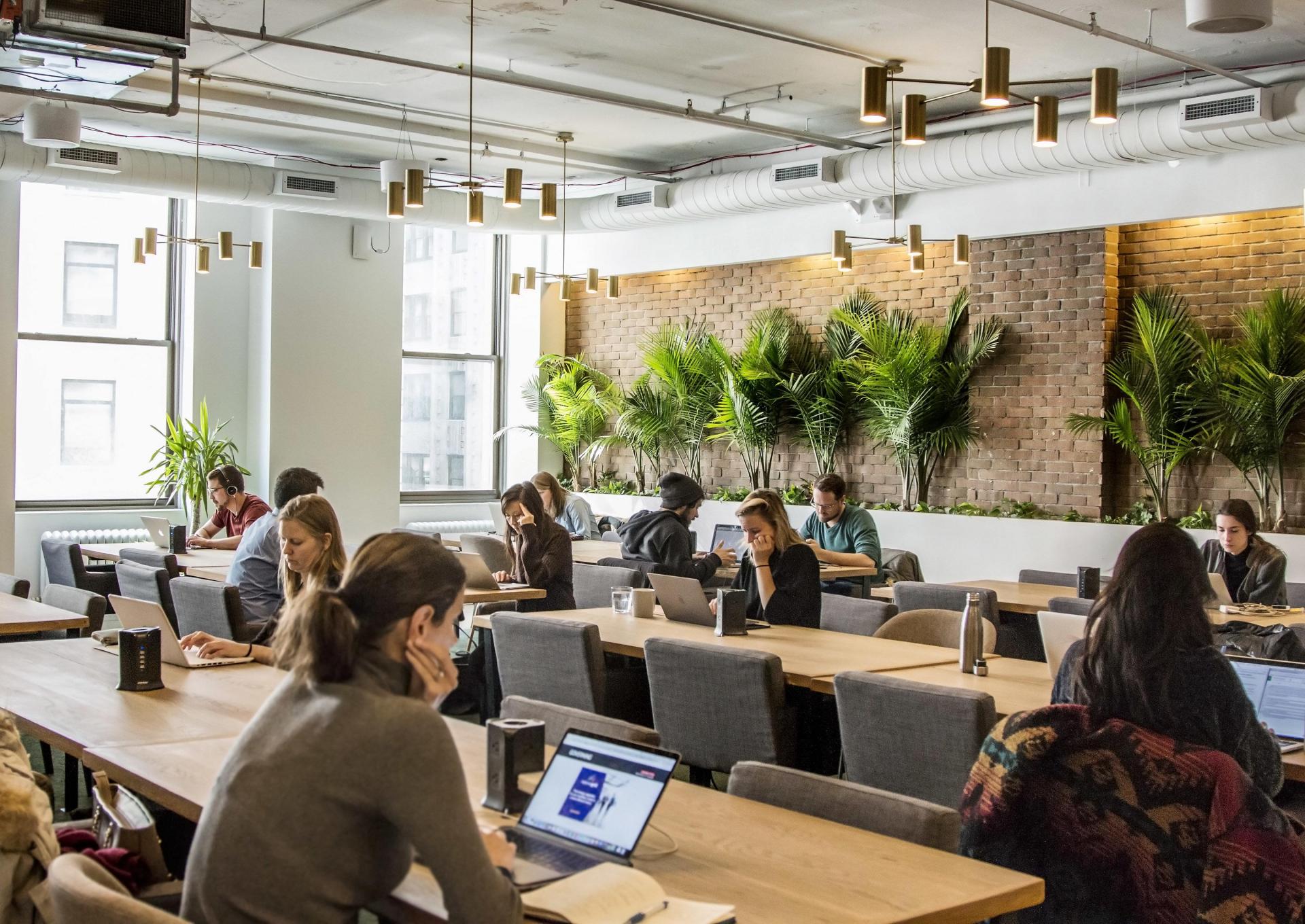 A room at Primary, a small co-working company