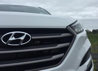 A white car in a field