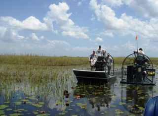 Florida, Tribes Among The Latest To Get Federal OK For Hemp Production