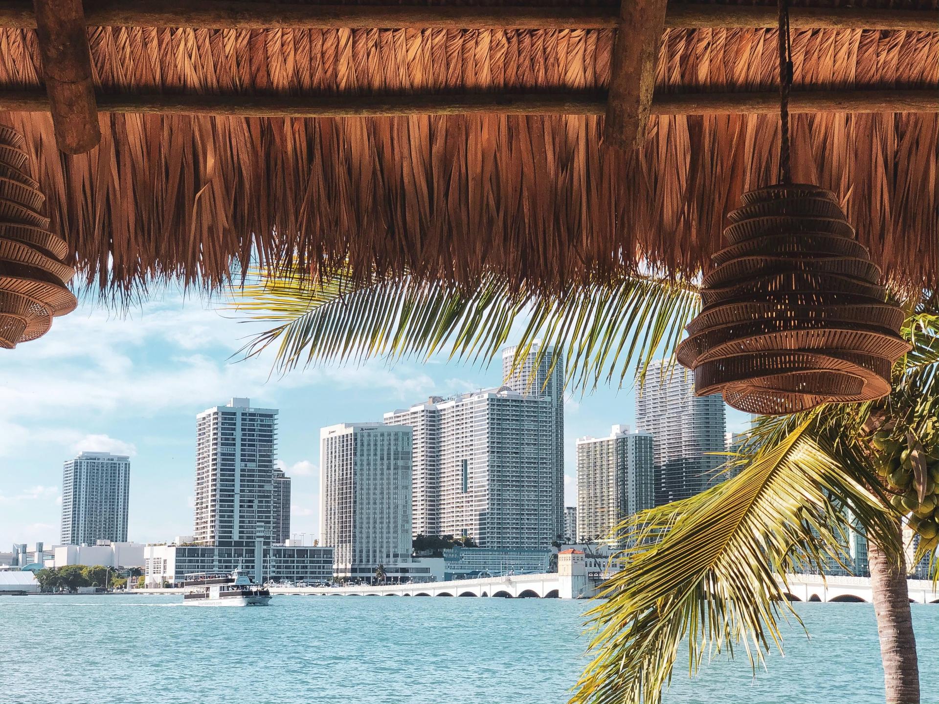 Infamous Miami Nightlife Impresario Chris Paciello Is Helping The Resurgence Of Watson Island