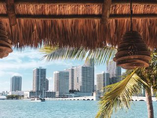 Infamous Miami Nightlife Impresario Chris Paciello Is Helping The Resurgence Of Watson Island