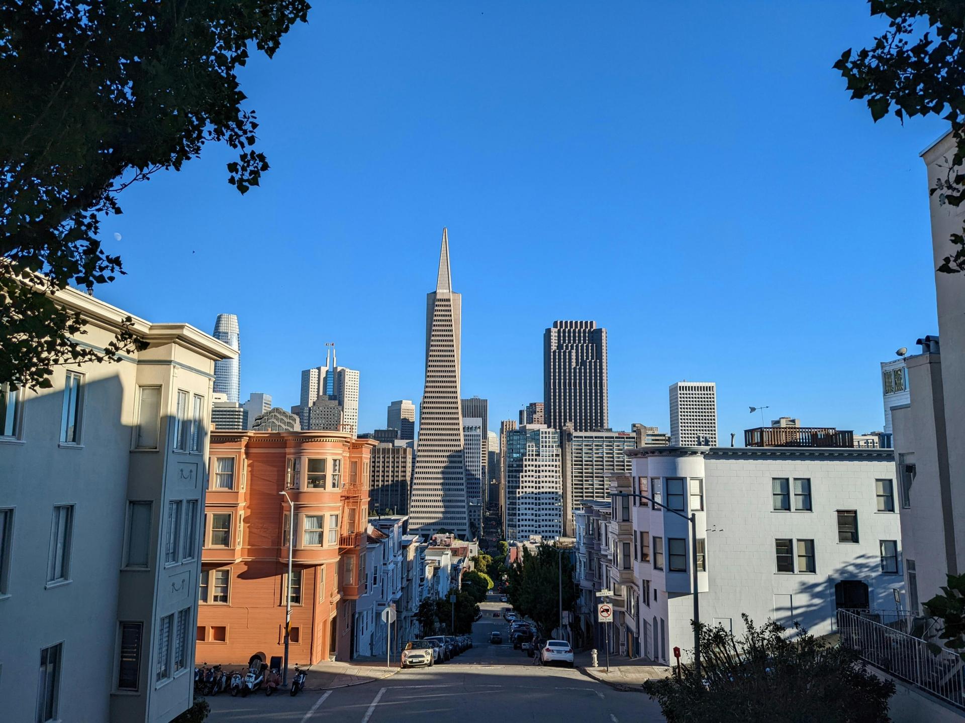 A view of FiDi SF with the Transamerica tower.