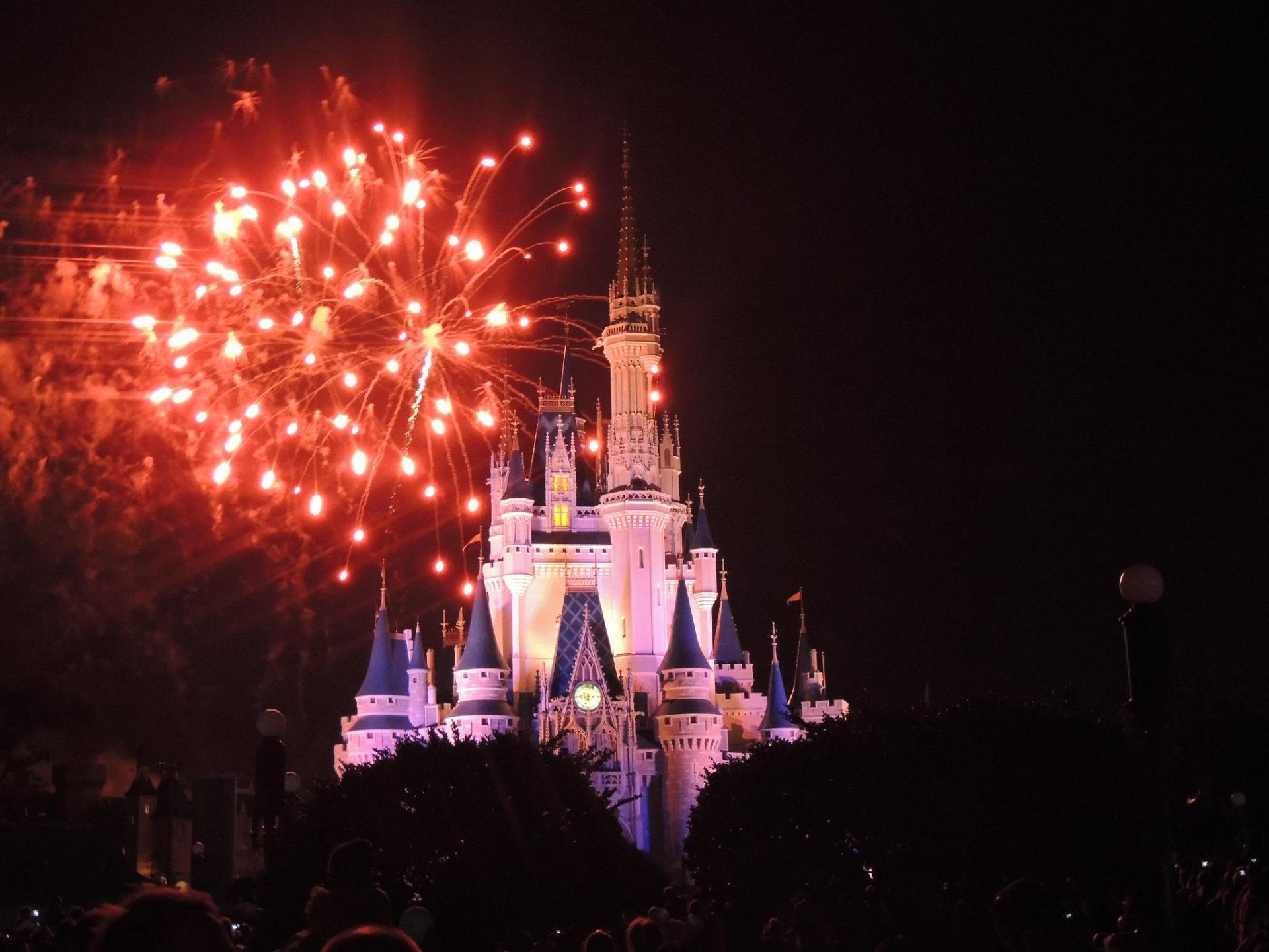 Disney's Big Recent Land Buys Trigger Speculation 
