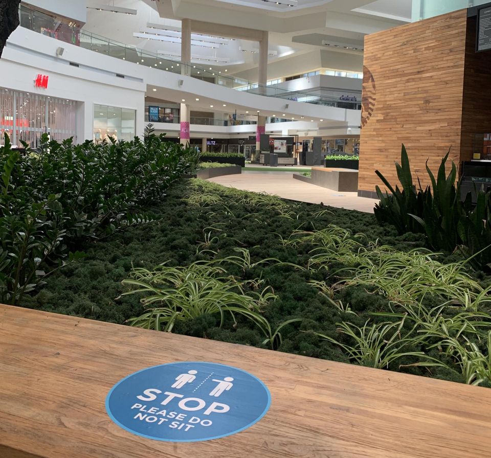Eastridge Center COVID Reopening