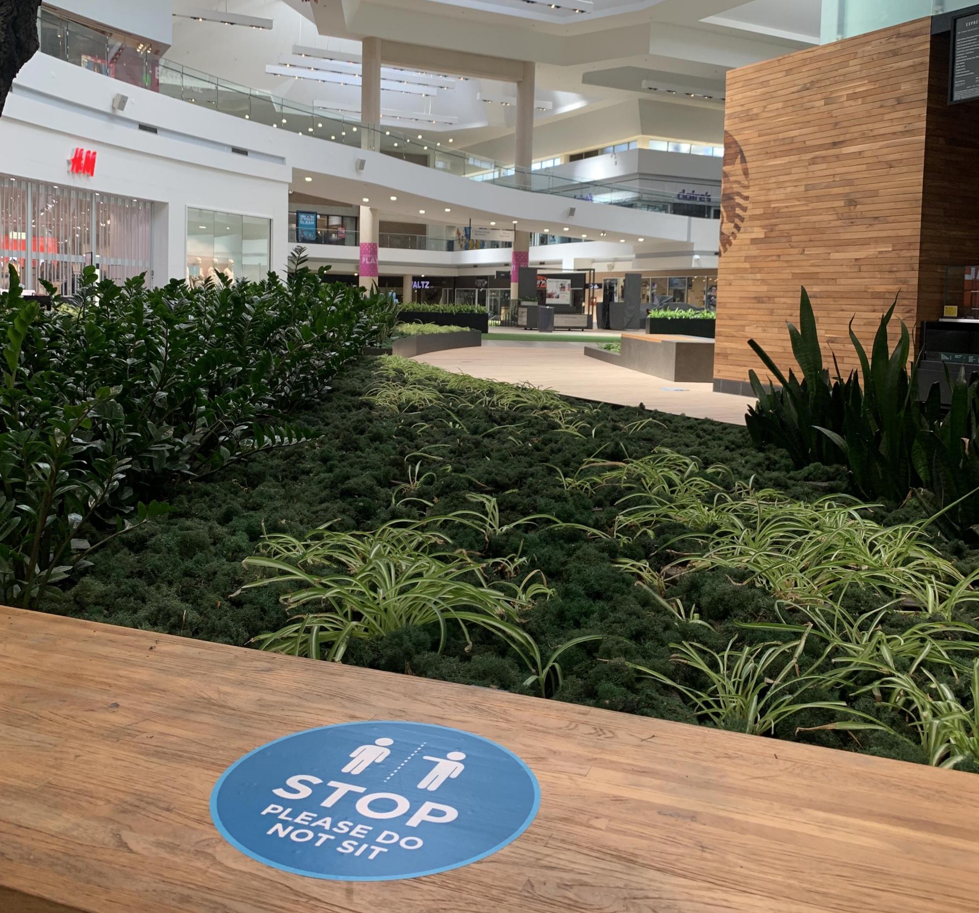 Eastridge Center COVID Reopening 