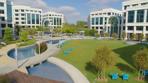 Water Garden