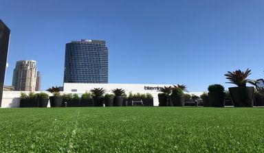 Neighborhood Series: Century City & Beverly Hills