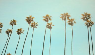 Retail Series: West Coast Summit