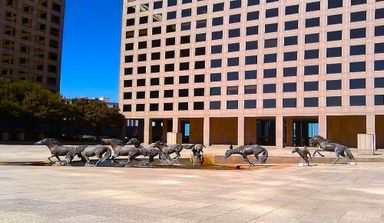 Las Colinas Development Update