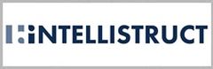 Intellistruct Logo